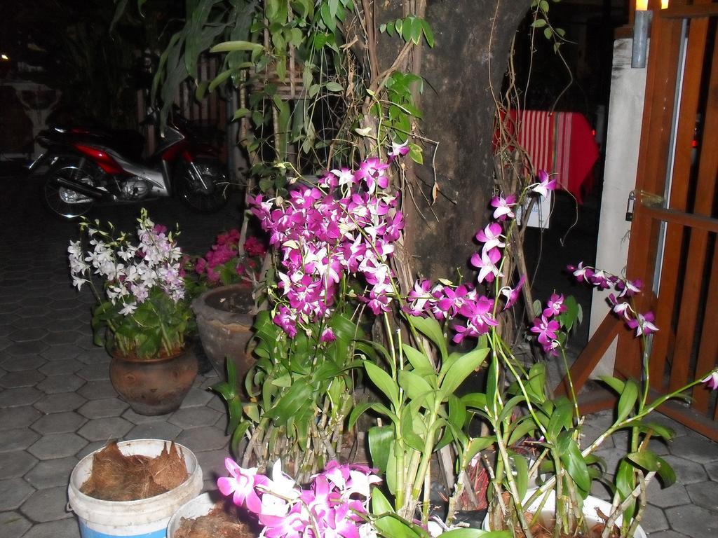 Your House 3 Guest House Chiang Mai Ngoại thất bức ảnh